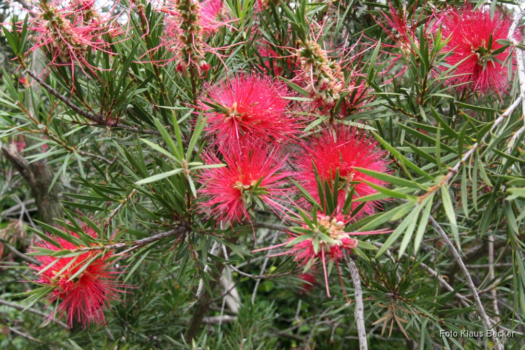 2011-06-22_KB (15).JPG